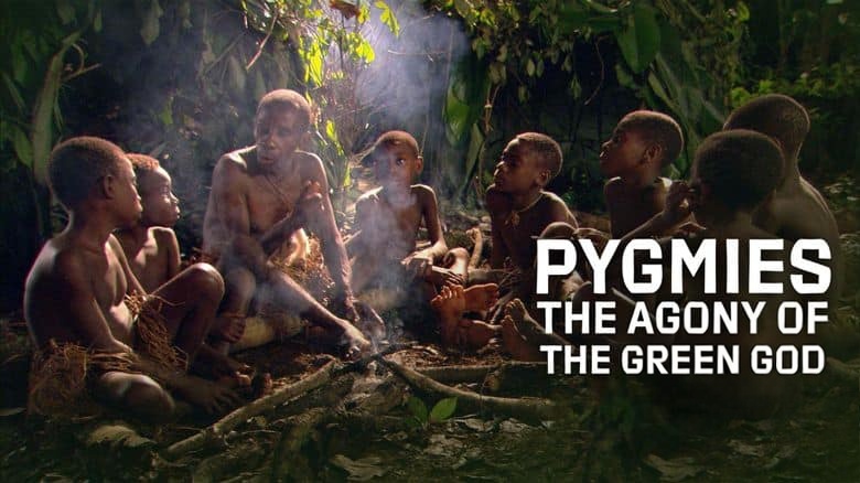 美国纪录片《俾格米人:绿神的痛苦 Pygmies: The Agony of the Green God 2012》英语中英双字 无水印纯净版 1080P/MKV/4.56G 俾格米人插图 美国纪录片《俾格米人:绿神的痛苦 Pygmies: The Agony of the Green God 2012》英语中英双字 无水印纯净版 1080P/MKV/4.56G 俾格米人插图