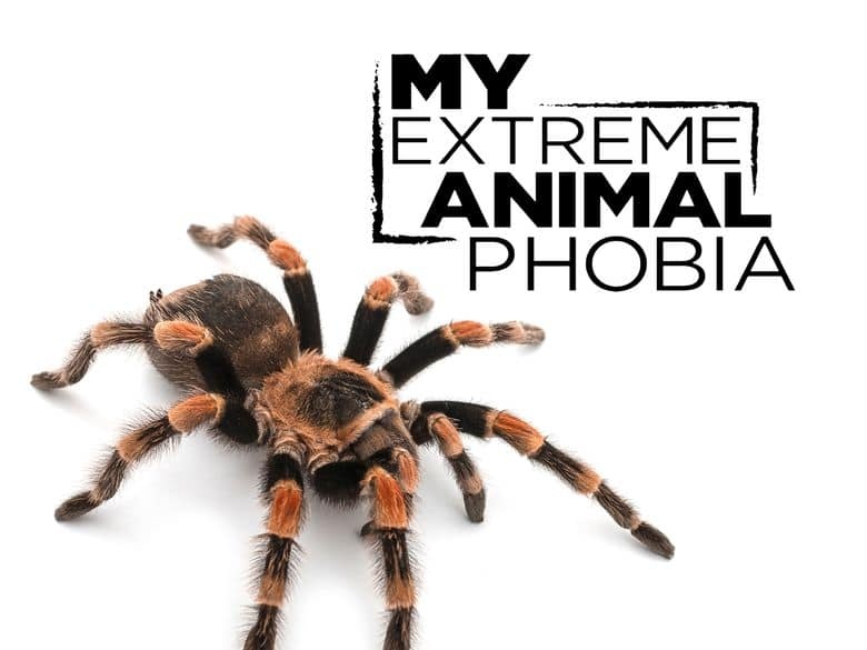 探索频道《我的极度动物恐惧症 My Extreme Animal Phobia 2011》全4集 英语中英双字 无水印纯净版 1080P/MKV/12.7G 动物我最怕插图1