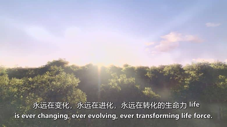 美国纪录片《让死亡成就生命可能 Death Makes Life Possible 2013》英语中英双字 无水印纯净版 1080P/MKV/1.08G 探讨死亡的意义插图4 美国纪录片《让死亡成就生命可能 Death Makes Life Possible 2013》英语中英双字 无水印纯净版 1080P/MKV/1.08G 探讨死亡的意义插图4