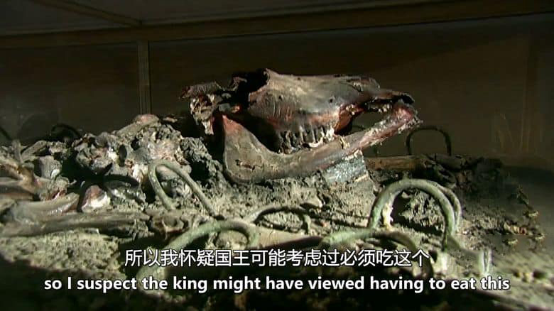 美国纪录片《法老的圣兽 The Sacred Animals of the Pharaohs 2007》英语中英双字 无水印纯净版 1080P/MKV/1.3G 法老的圣兽插图6