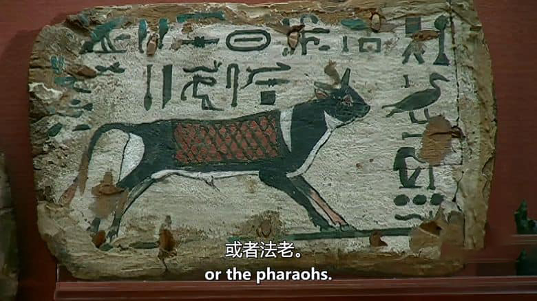 美国纪录片《法老的圣兽 The Sacred Animals of the Pharaohs 2007》英语中英双字 无水印纯净版 1080P/MKV/1.3G 法老的圣兽插图3