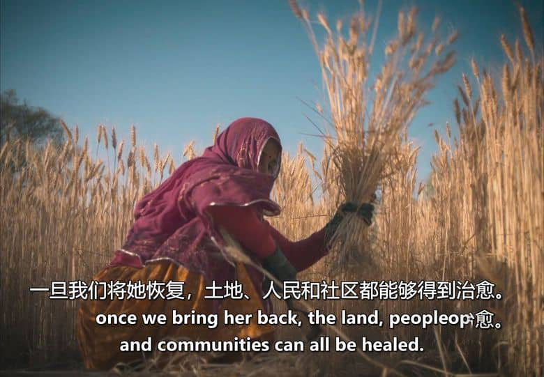 美国纪录片《寻觅和谐:一位国王的愿景 Finding Harmony: A King’s Vision 2026》英语中英双字 无水印纯净版 1080P/MKV/1.64G 环保纪录片插图2 美国纪录片《寻觅和谐:一位国王的愿景 Finding Harmony: A King’s Vision 2026》英语中英双字 无水印纯净版 1080P/MKV/1.64G 环保纪录片插图2