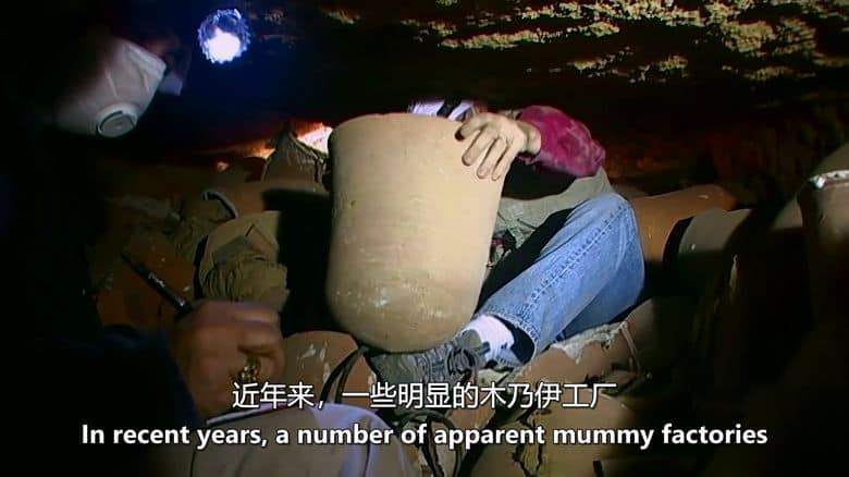 美国纪录片《法老的圣兽 The Sacred Animals of the Pharaohs 2007》英语中英双字 无水印纯净版 1080P/MKV/1.3G 法老的圣兽插图1