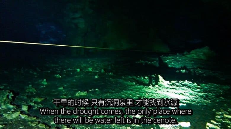 日本纪录片《沉洞泉 CENOTE 2019》西班牙语语中英双字 无水印纯净版 1080P/MKV/4.73G 玛雅文明探索插图2