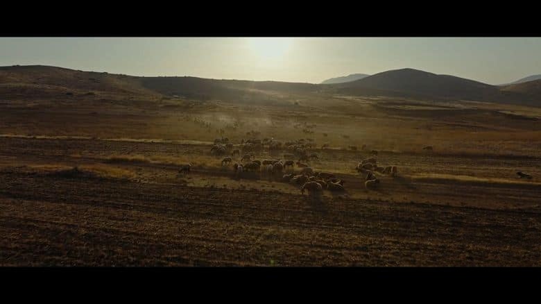 美国纪录片《橄榄树悲泣之地 Where Olive Trees Weep 2024》英语中英双字 无水印纯净版 1080P/MKV/2.14G 战争下的巴勒斯坦插图2 美国纪录片《橄榄树悲泣之地 Where Olive Trees Weep 2024》英语中英双字 无水印纯净版 1080P/MKV/2.14G 战争下的巴勒斯坦插图2