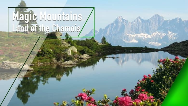 奥地利纪录片《魔力山脉：羚羊之地 Magic Mountains：Land of the Chamois 2012》英语中英双字 无水印纯净版 1080P/MKV/5.23G 奥地利生态插图