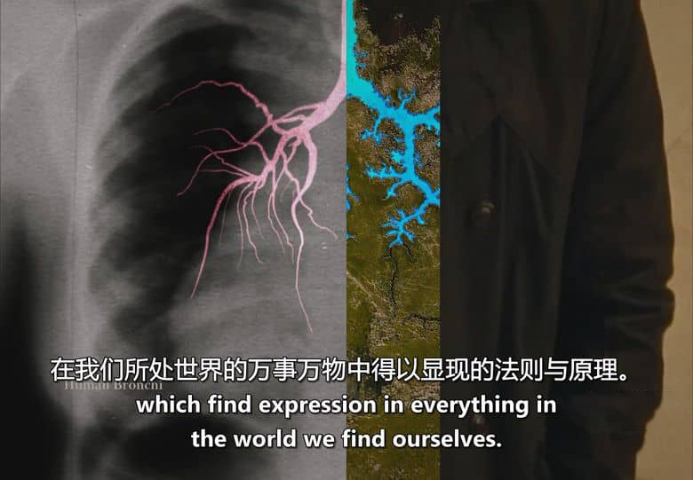 美国纪录片《寻觅和谐:一位国王的愿景 Finding Harmony: A King’s Vision 2026》英语中英双字 无水印纯净版 1080P/MKV/1.64G 环保纪录片插图8 美国纪录片《寻觅和谐:一位国王的愿景 Finding Harmony: A King’s Vision 2026》英语中英双字 无水印纯净版 1080P/MKV/1.64G 环保纪录片插图8