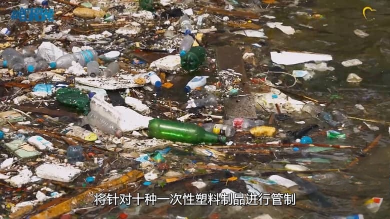Netflix纪录片《排出毒素：微塑料威胁自救指南 The Plastic Detox 2026》英语多国字幕 无水印纯净版 1080P/MKV/3.5G 塑料威胁插图6