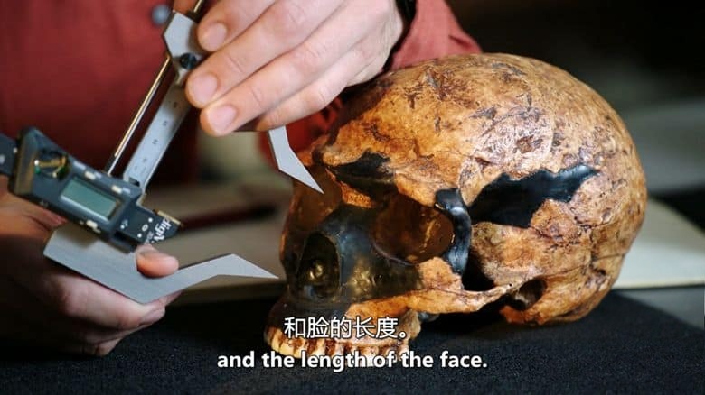 PBS纪录片《暴力悖论 The Violence Paradox 2021》英语中英双字 无水印纯净版 1080P/MKV/5.58G 探索暴力心理学插图5 PBS纪录片《暴力悖论 The Violence Paradox 2021》英语中英双字 无水印纯净版 1080P/MKV/5.58G 探索暴力心理学插图5