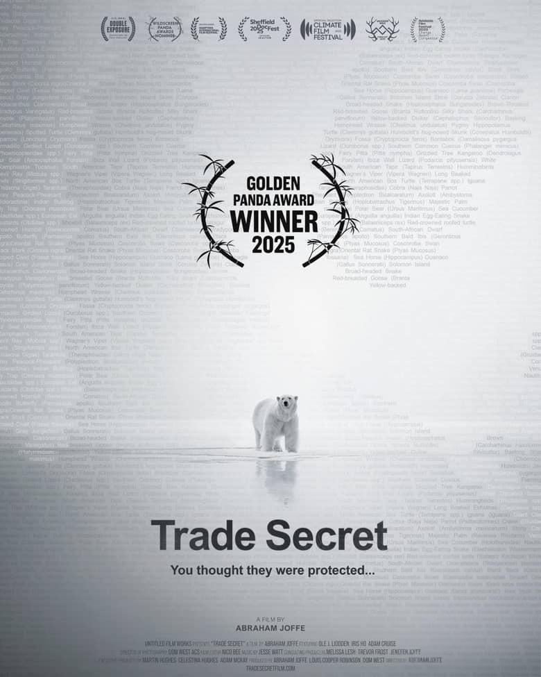 澳大利亚纪录片《极地贸易内幕：北极熊的代价 Trade Secret 2025》英语无字 无水印纯净版 1080P/MP4/1.66G 商业机密插图