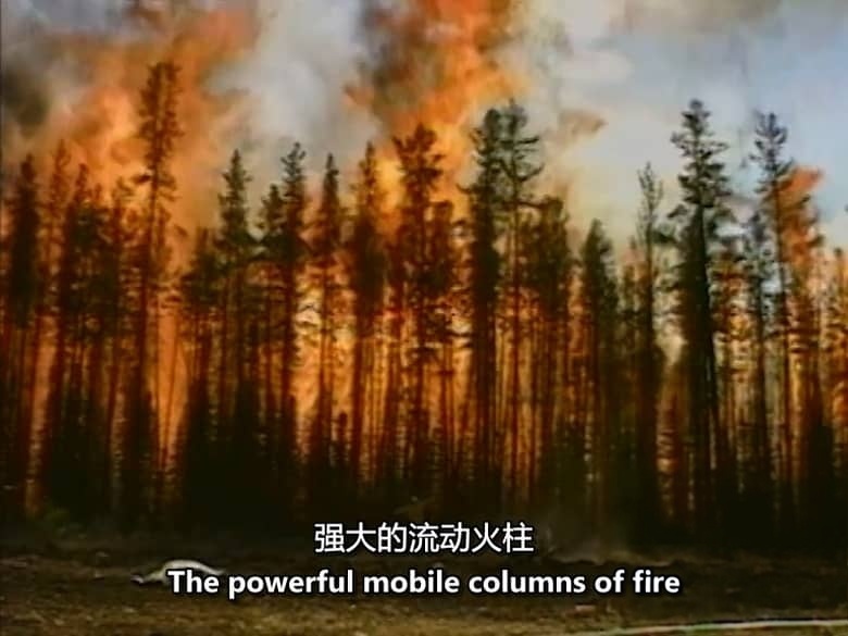 加拿大纪录片《暴风雨警告!Storm Warning 1997》第1-4季全53集 英语中英双字 无水印纯净版 540P/MKV/22.9G 自然灾难插图4 加拿大纪录片《暴风雨警告!Storm Warning 1997》第1-4季全53集 英语中英双字 无水印纯净版 540P/MKV/22.9G 自然灾难插图4