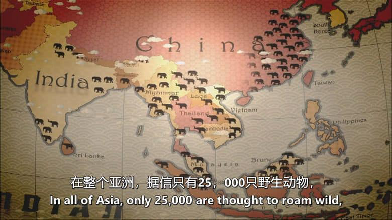 澳大利亚纪录片《最后的象夫 The Last Mahout 2008》英语中英双字 无水印纯净版 1080P/MKV/4.66G 亚洲象插图1 澳大利亚纪录片《最后的象夫 The Last Mahout 2008》英语中英双字 无水印纯净版 1080P/MKV/4.66G 亚洲象插图1