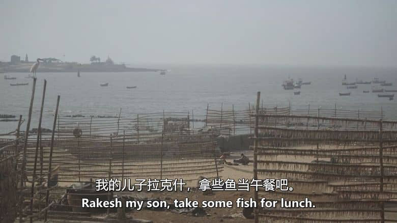 印度纪录片《逆流而上 Against the Tide 2023》印地语中英双字 无水印纯净版 1080P/MKV/1.61G 海洋生态危机插图1 印度纪录片《逆流而上 Against the Tide 2023》印地语中英双字 无水印纯净版 1080P/MKV/1.61G 海洋生态危机插图1