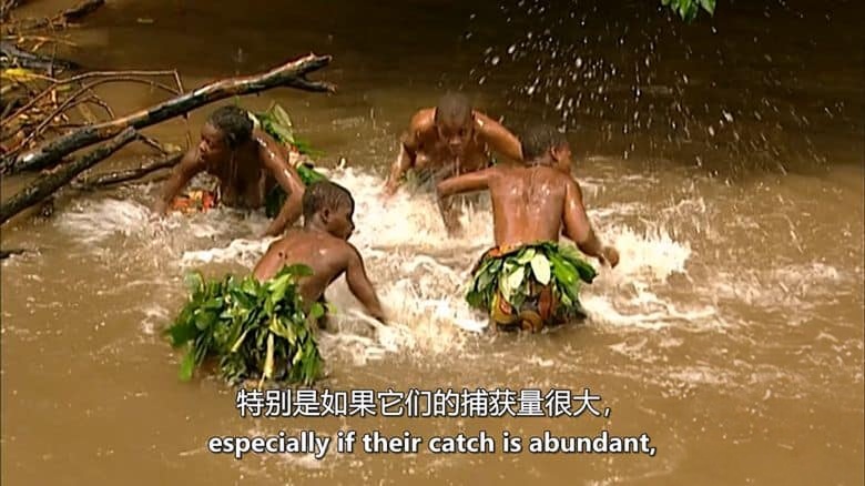 美国纪录片《俾格米人:绿神的痛苦 Pygmies: The Agony of the Green God 2012》英语中英双字 无水印纯净版 1080P/MKV/4.56G 俾格米人插图5 美国纪录片《俾格米人:绿神的痛苦 Pygmies: The Agony of the Green God 2012》英语中英双字 无水印纯净版 1080P/MKV/4.56G 俾格米人插图5