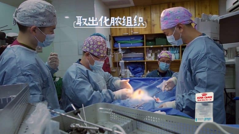 国产纪录片《小主安康－宠物医院 Animal.Hospital 2021》第2-3季全16集 国语中字 1080P/MP4/18.9G 宠物医院插图4