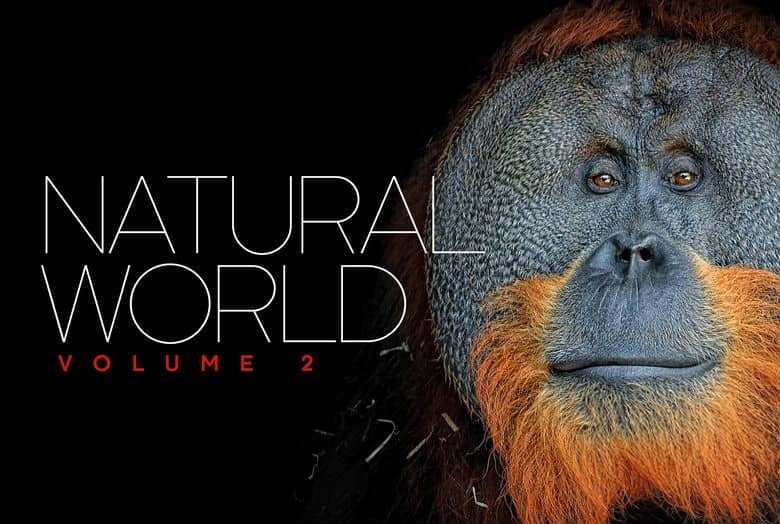 BBC纪录片《自然世界 Natural World》第1-7季全42集 英语中英双字 无水印纯净版 1080P/MKV/121G 探索自然之窗插图1