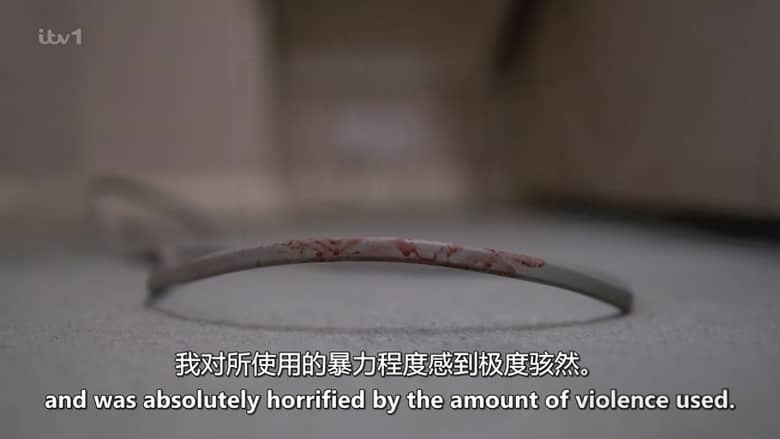 ITV纪录片《追猎“银色杀手” Hunting the Silver Killer 2026》英语中英双字 无水印纯净版 1080P/MKV/503M 凶案背后插图1