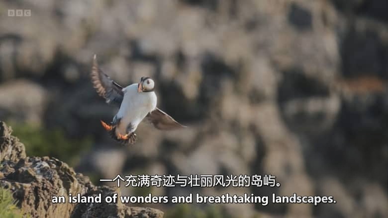 BBC纪录片《走进英国国家公园 Inside Britain’s National Parks 2026》全4集 英语中英双字 无水印纯净版 1080P/MKV/4.6G 英国国家公园插图1