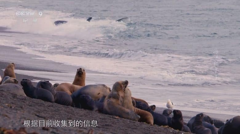 BBC纪录片《海洋猎手 Hunters of the South Seas 2015》全2集 国语中字 央视译制版 1080P/TS/7.19G 南海猎人插图2