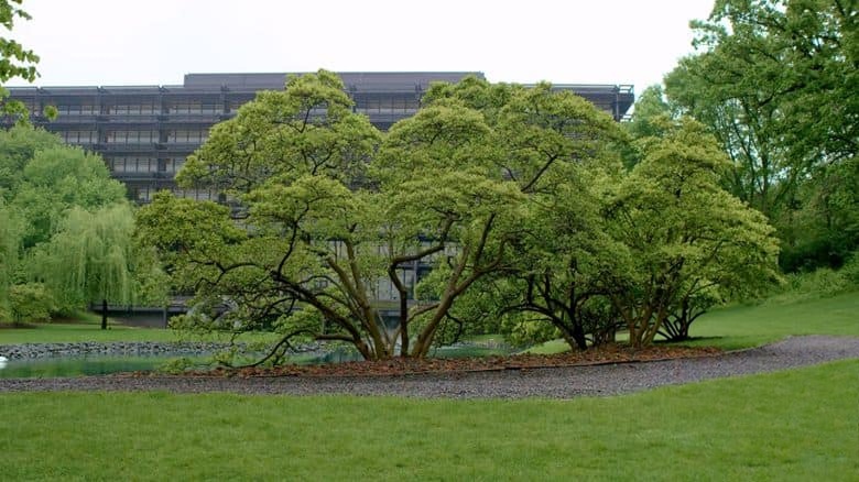 芬兰纪录片《埃罗·沙里宁：预见未来的建筑师 Eero Saarinen: The Architect Who Saw the Future 2016》英语中英双字 无水印纯净版 1080P/MKV/1.32G 建筑大师插图4