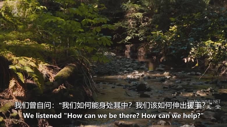 CH4纪录片《莫莉与机器：科技时代的挑战者 Molly vs the Machines 2026》英语中英双字 无水印纯净版 1080P/MKV/1G 科技伦理插图3