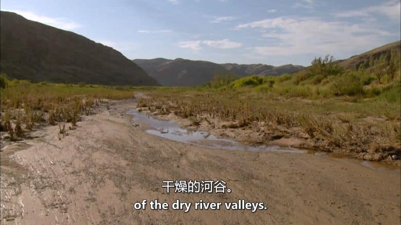 美国纪录片《霍尼布山谷 Hoanib 2013》英语中英双字 无水印纯净版 1080P/MKV/2.97G 纳米布沙漠插图5