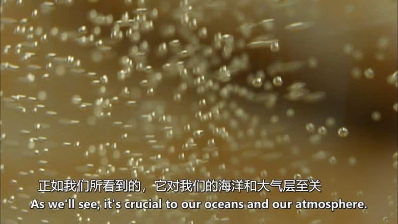 英国纪录片《气泡科学 The Science of Bubbles 2013》英语中英双字 无水印纯净版 1080P/MKV/3.14G 气泡科学插图5 英国纪录片《气泡科学 The Science of Bubbles 2013》英语中英双字 无水印纯净版 1080P/MKV/3.14G 气泡科学插图5