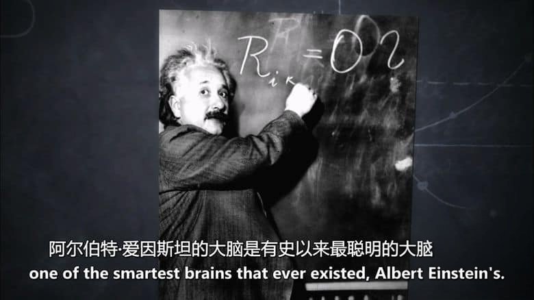 PBS纪录片《我们能变得有多聪明?How Smart Can We Get 2012》英语中英双字 无水印纯净版 1080P/MKV/3.4G 人体探索插图3 PBS纪录片《我们能变得有多聪明?How Smart Can We Get 2012》英语中英双字 无水印纯净版 1080P/MKV/3.4G 人体探索插图3