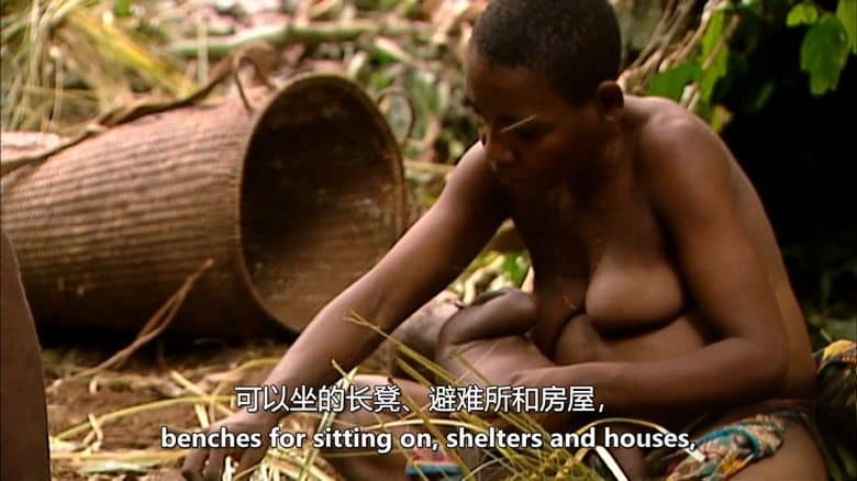 美国纪录片《俾格米人:绿神的痛苦 Pygmies: The Agony of the Green God 2012》英语中英双字 无水印纯净版 1080P/MKV/4.56G 俾格米人插图2 美国纪录片《俾格米人:绿神的痛苦 Pygmies: The Agony of the Green God 2012》英语中英双字 无水印纯净版 1080P/MKV/4.56G 俾格米人插图2