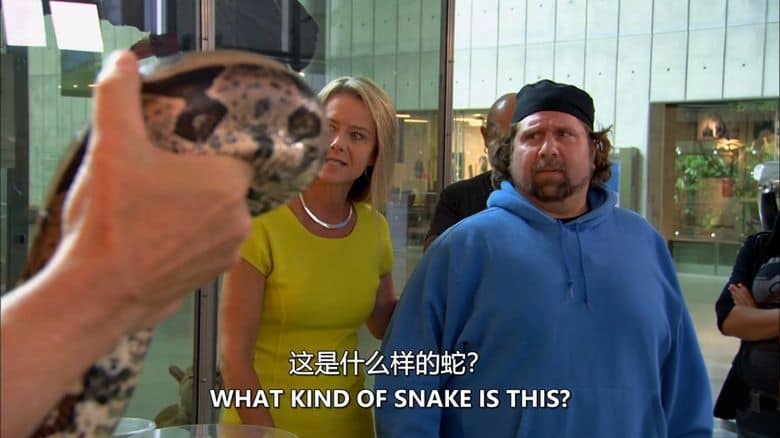 探索频道《我的极度动物恐惧症 My Extreme Animal Phobia 2011》全4集 英语中英双字 无水印纯净版 1080P/MKV/12.7G 动物我最怕插图3