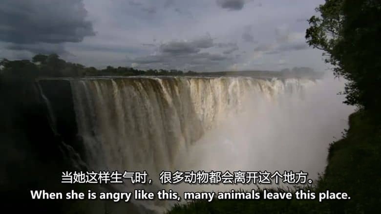BBC纪录片《自然世界 Natural World》第1-7季全42集 英语中英双字 无水印纯净版 1080P/MKV/121G 探索自然之窗插图7