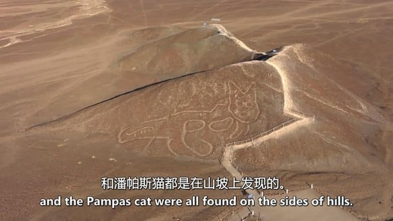 PBS纪录片《纳斯卡沙漠之谜 Nazca Desert Mystery 2022》英语中英双字 无水印纯净版 1080P/MKV/2.76G 纳斯卡沙漠插图2