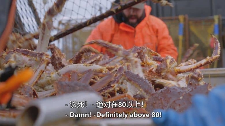 探索频道《渔人的搏斗/致命捕猎 Deadliest Catch 2025》第21季全16集+1集番外 英语中英双字 官方纯净版 1080P/MKV/53G 恶海捕蟹记插图8 探索频道《渔人的搏斗/致命捕猎 Deadliest Catch 2025》第21季全16集+1集番外 英语中英双字 官方纯净版 1080P/MKV/53G 恶海捕蟹记插图8