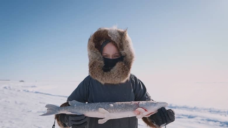 国家地理《零度以下的生活 Life Below Zero 2026》第23季全20集 英语中英双字 官方纯净版 1080P/MKV/45G 零下极限生活插图7 国家地理《零度以下的生活 Life Below Zero 2026》第23季全20集 英语中英双字 官方纯净版 1080P/MKV/45G 零下极限生活插图7