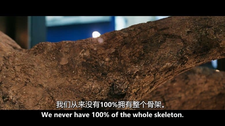 加拿大纪录片《恐龙化石贸易战 The Bones 2024》英语中英双字 无水印纯净版 1080P/MKV/4.54G 恐龙化石贸易插图3