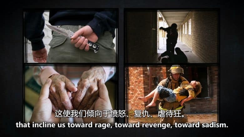 PBS纪录片《暴力悖论 The Violence Paradox 2021》英语中英双字 无水印纯净版 1080P/MKV/5.58G 探索暴力心理学插图4 PBS纪录片《暴力悖论 The Violence Paradox 2021》英语中英双字 无水印纯净版 1080P/MKV/5.58G 探索暴力心理学插图4
