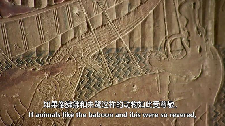 美国纪录片《法老的圣兽 The Sacred Animals of the Pharaohs 2007》英语中英双字 无水印纯净版 1080P/MKV/1.3G 法老的圣兽插图4