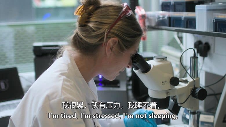 PBS纪录片《战胜疟疾之战 The Battle to Beat Malaria 2023》英语中英双字 无水印纯净版 1080P/MKV/2.24G 最致命的疾病插图4 PBS纪录片《战胜疟疾之战 The Battle to Beat Malaria 2023》英语中英双字 无水印纯净版 1080P/MKV/2.24G 最致命的疾病插图4