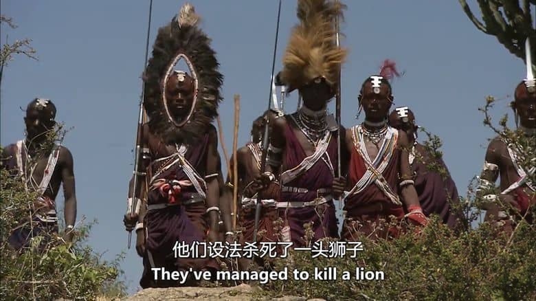 美国纪录片《部落奥德赛：文明边缘的成人礼 Tribal Odyssey:Rites of Passage at the Edge of Civilization 2018》全9集 英语中英双字 无水印纯净版 1080P/MKV/23.4G 原始部落成人礼插图5