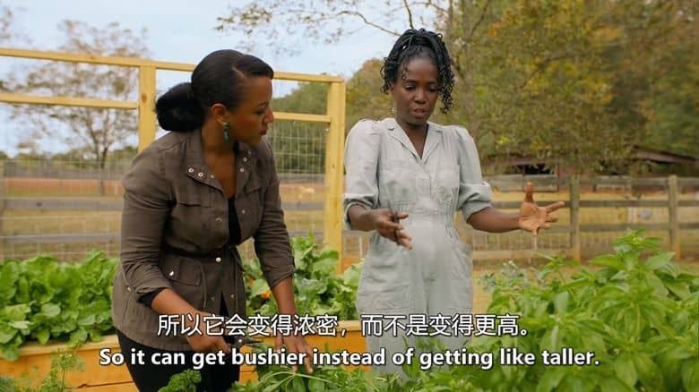 美国纪录片《自家种植 Homegrown 2021》第3-4季全14集 英语中英双字 官方纯净版 1080P/MKV/26.5G 后院农场插图2