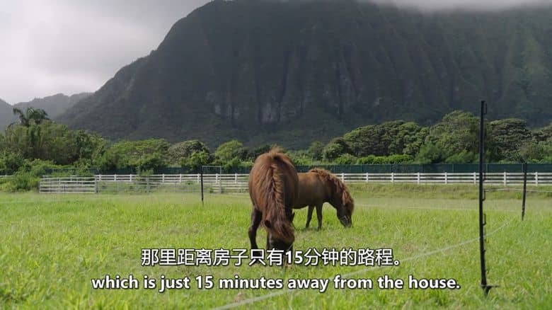 HGTV纪录片《夏威夷家园改造王 Renovation Aloha 2024-2025》第1-2季全18集 英语中英双字 无水印纯净版 1080P/MKV/53.9G 家居改造插图7 HGTV纪录片《夏威夷家园改造王 Renovation Aloha 2024-2025》第1-2季全18集 英语中英双字 无水印纯净版 1080P/MKV/53.9G 家居改造插图7