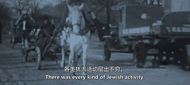 BBC纪录片《西蒙·沙玛：通往奥斯维辛之路 Simon Schama: The Road to Auschwitz 2025》英语中英双字 无水印纯净版 1080P/MKV/625M 奥斯维辛集中营插图2