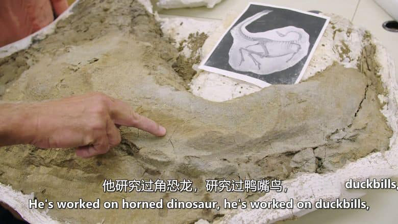 加拿大纪录片《恐龙小径 Dino Trails 2019》英语中英双字 无水印纯净版 1080P/MKV/2.71G 最新的恐龙发现插图4 加拿大纪录片《恐龙小径 Dino Trails 2019》英语中英双字 无水印纯净版 1080P/MKV/2.71G 最新的恐龙发现插图4