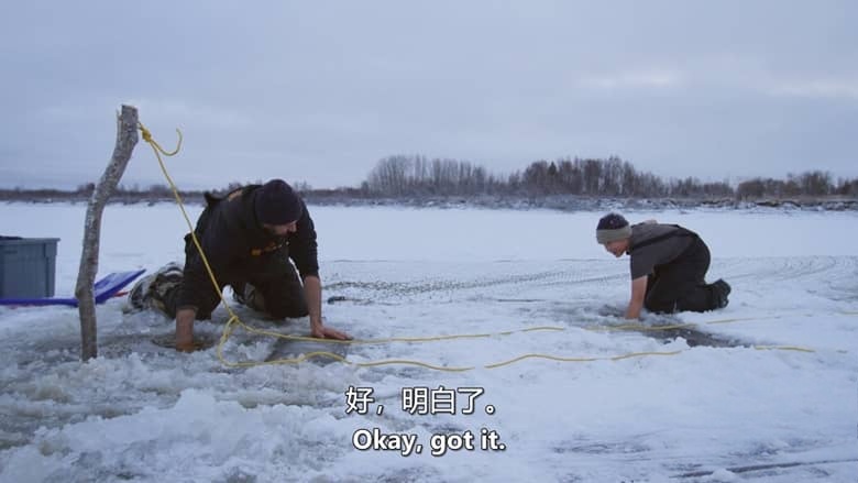 国家地理《零度以下的生活 Life Below Zero 2026》第23季全20集 英语中英双字 官方纯净版 1080P/MKV/45G 零下极限生活插图1 国家地理《零度以下的生活 Life Below Zero 2026》第23季全20集 英语中英双字 官方纯净版 1080P/MKV/45G 零下极限生活插图1