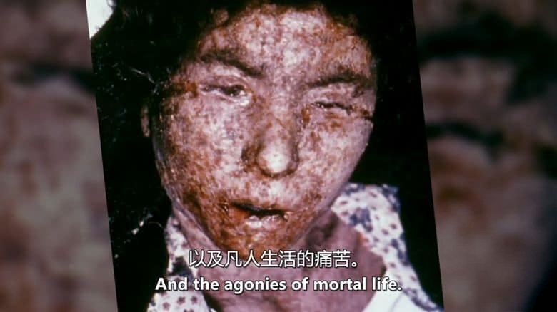 BBC纪录片《寻找现代药物 From Pain to Poison 2013》全3集 英语中英双字 无水印纯净版 1080P/MKV/6.26G 对抗疾病插图1