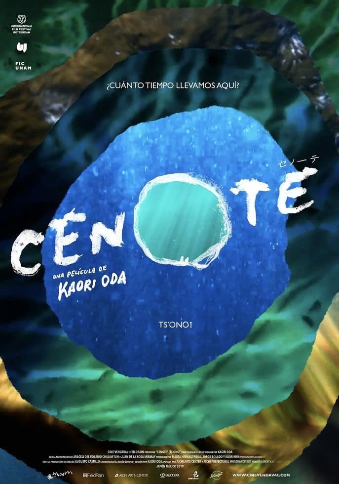日本纪录片《沉洞泉 CENOTE 2019》西班牙语语中英双字 无水印纯净版 1080P/MKV/4.73G 玛雅文明探索插图