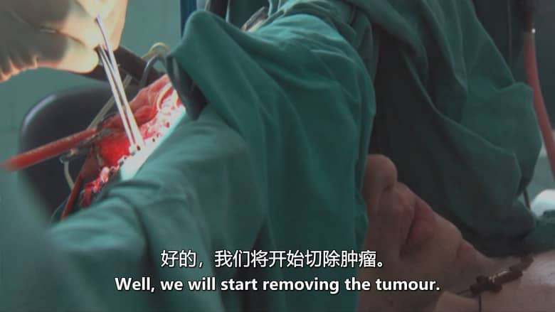 BBC纪录片《一位脑外科医生的自白 Confessions of a Brain Surgeon 2025》英语中英双字 无水印纯净版 1080P/MKV/837M 医学与生命意义插图2 BBC纪录片《一位脑外科医生的自白 Confessions of a Brain Surgeon 2025》英语中英双字 无水印纯净版 1080P/MKV/837M 医学与生命意义插图2
