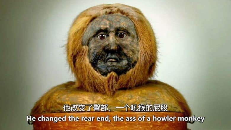 BBC纪录片《寻找现代药物 From Pain to Poison 2013》全3集 英语中英双字 无水印纯净版 1080P/MKV/6.26G 对抗疾病插图5