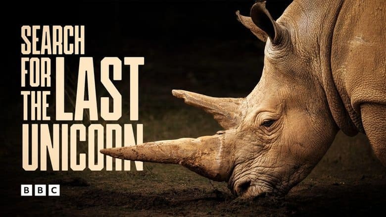BBC纪录片《寻找最后的独角兽 Search for the Last Unicorn 2022》英语中英双字 无水印纯净版 1080P/MKV/2.86G 非洲白犀牛插图 BBC纪录片《寻找最后的独角兽 Search for the Last Unicorn 2022》英语中英双字 无水印纯净版 1080P/MKV/2.86G 非洲白犀牛插图