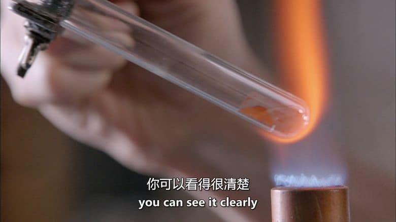 PBS纪录片《毒药师手册 The Poisoner’s Handbook 2013》英语中英双字 无水印纯净版 1080P/MKV/5.85G 毒药医学插图3 PBS纪录片《毒药师手册 The Poisoner’s Handbook 2013》英语中英双字 无水印纯净版 1080P/MKV/5.85G 毒药医学插图3